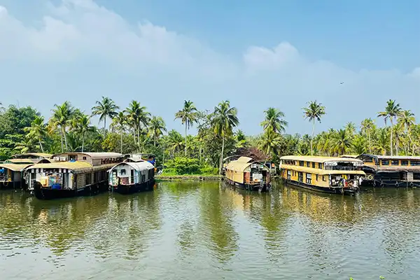 Alleppey