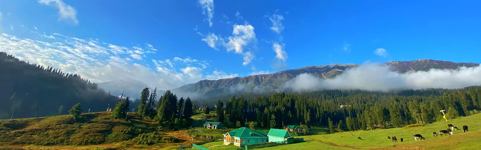 Exotic Kashmir Tour Package