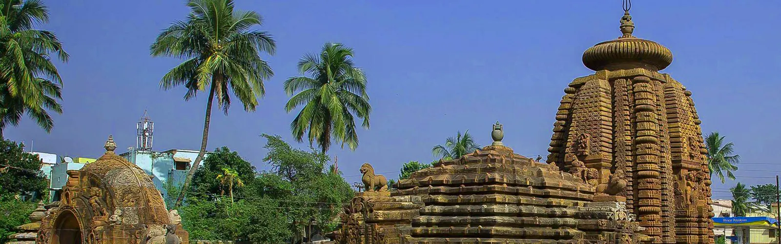 South India Odyssey Trip