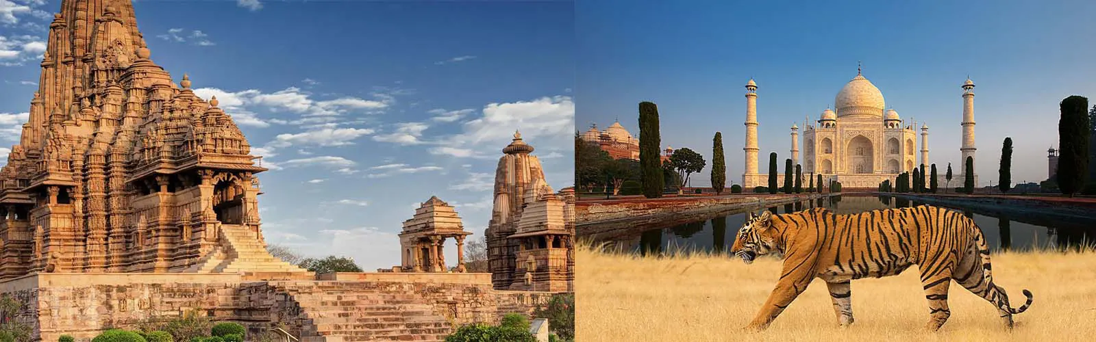 Taj, Temples and Tigers