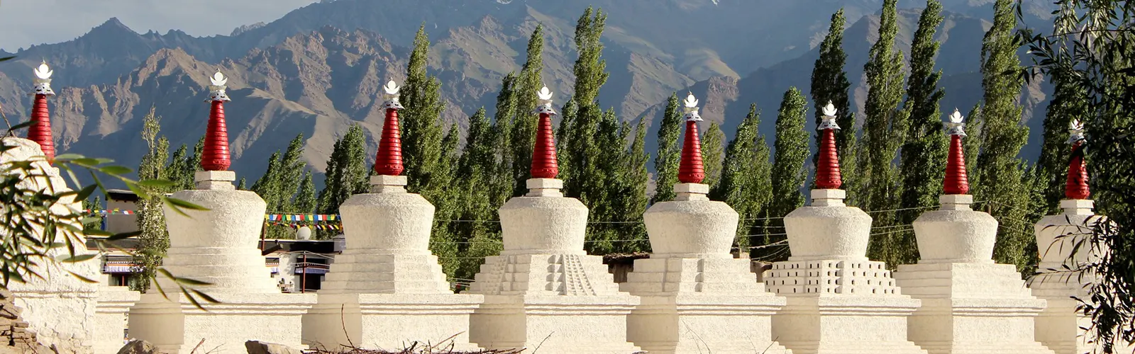 Get the Land of Gompas