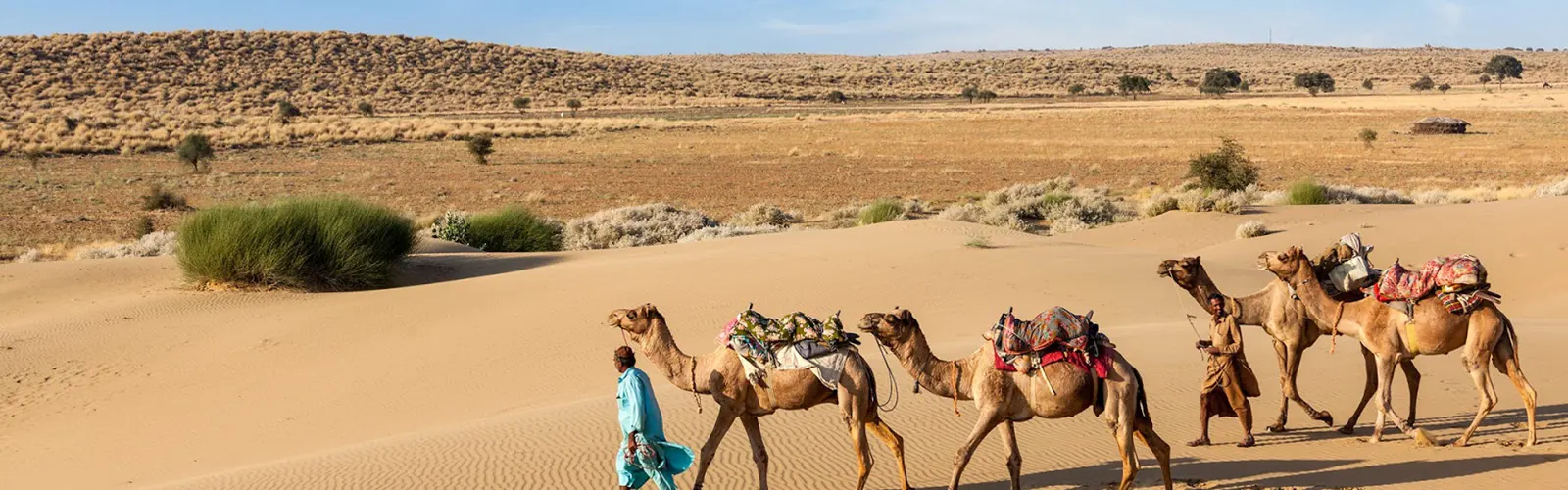 Traversing Rajasthan