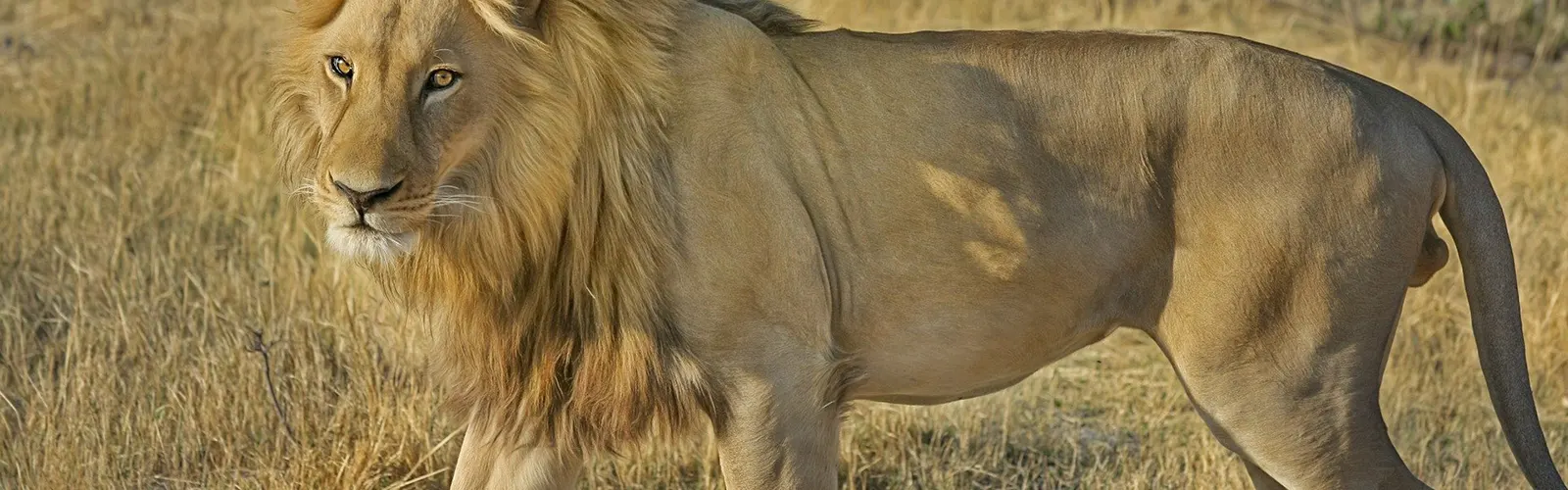 Trip to Sacred Caves in India