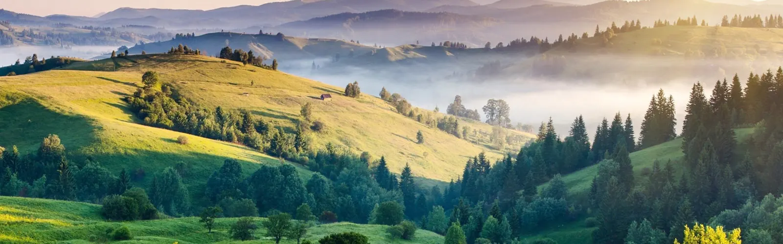 Uttarakhand Tour Packages