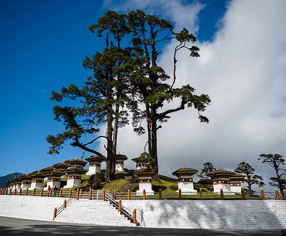 Mesmerizing Bhutan 7 Days Package from India