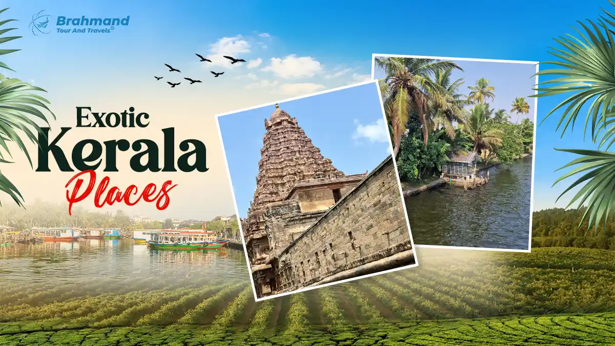 Kerala Exotic Places