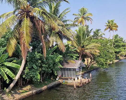 Exotic Kerala