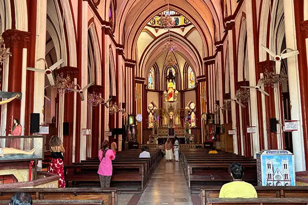 Kochi Sightseeing