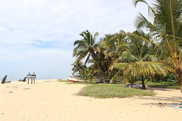 Mararikulam