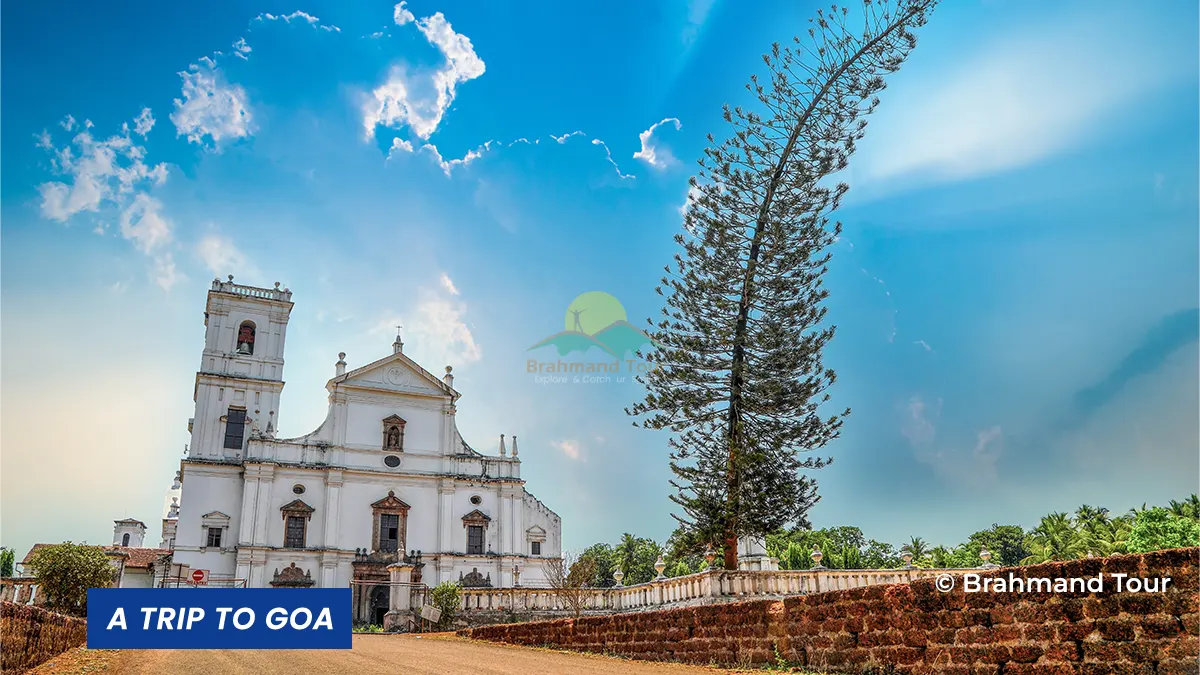 Delhi to Goa Tour Package