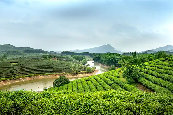 Murinjapuzha