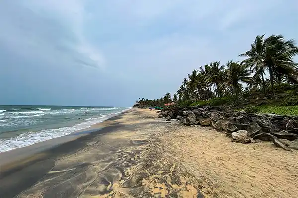 Marari