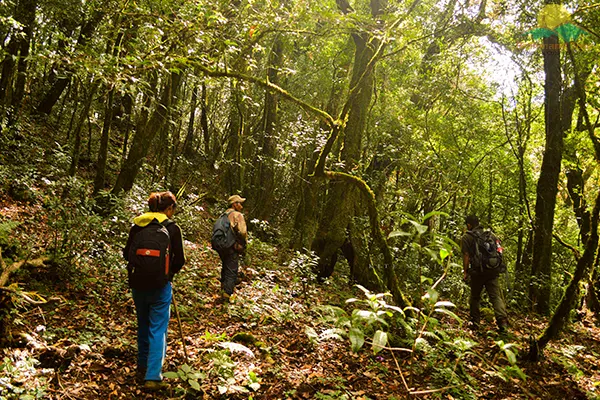 Khonoma Nature Conservation and Tragopan Sanctuary