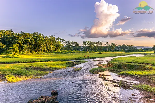 Chitwan National Park, Sauraha