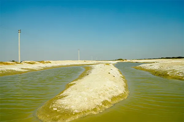 Sambhar Lake, Udaipur