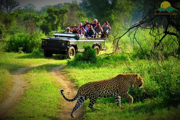 Chitwan Jungle Safari