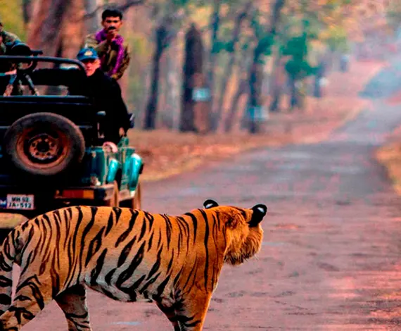 Corbett with Nainital