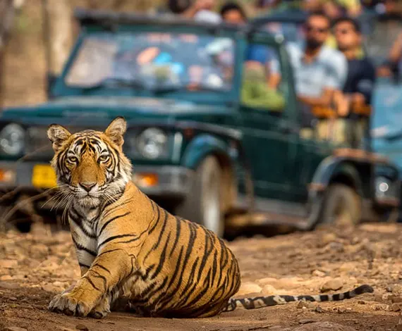 Corbett with Nainital