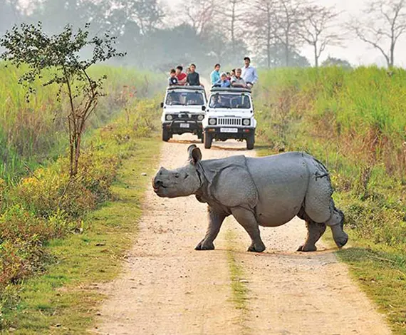 From Kaziranga to Sundarban