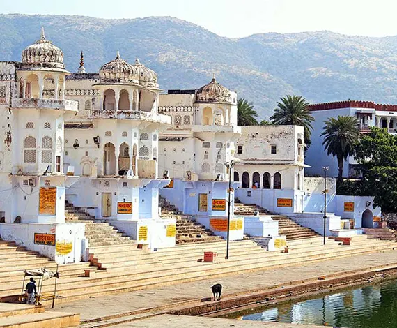 Pushkar A Cultural Odyssey