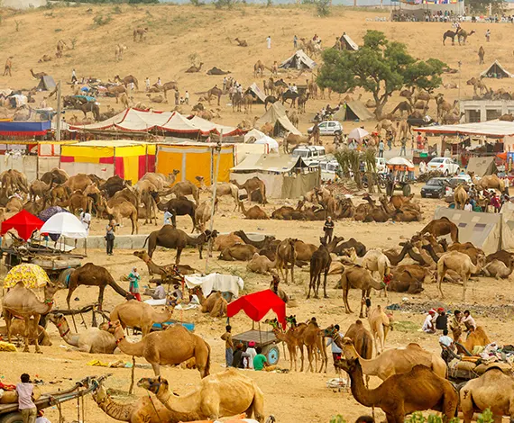 Pushkar Fair