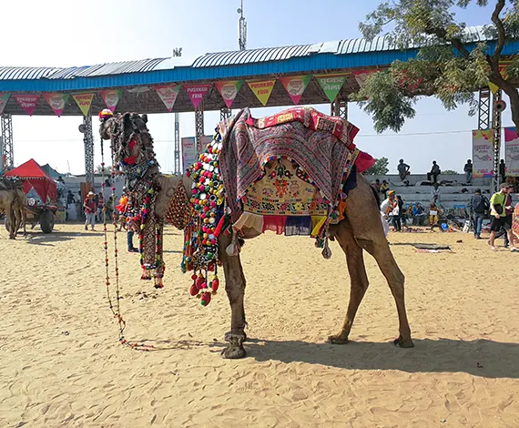 Pushkar Fair