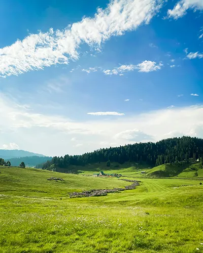 Srinagar Tour Packages