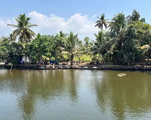 The Essence Of South India