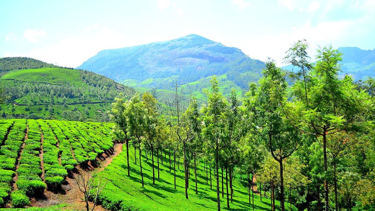 Munnar